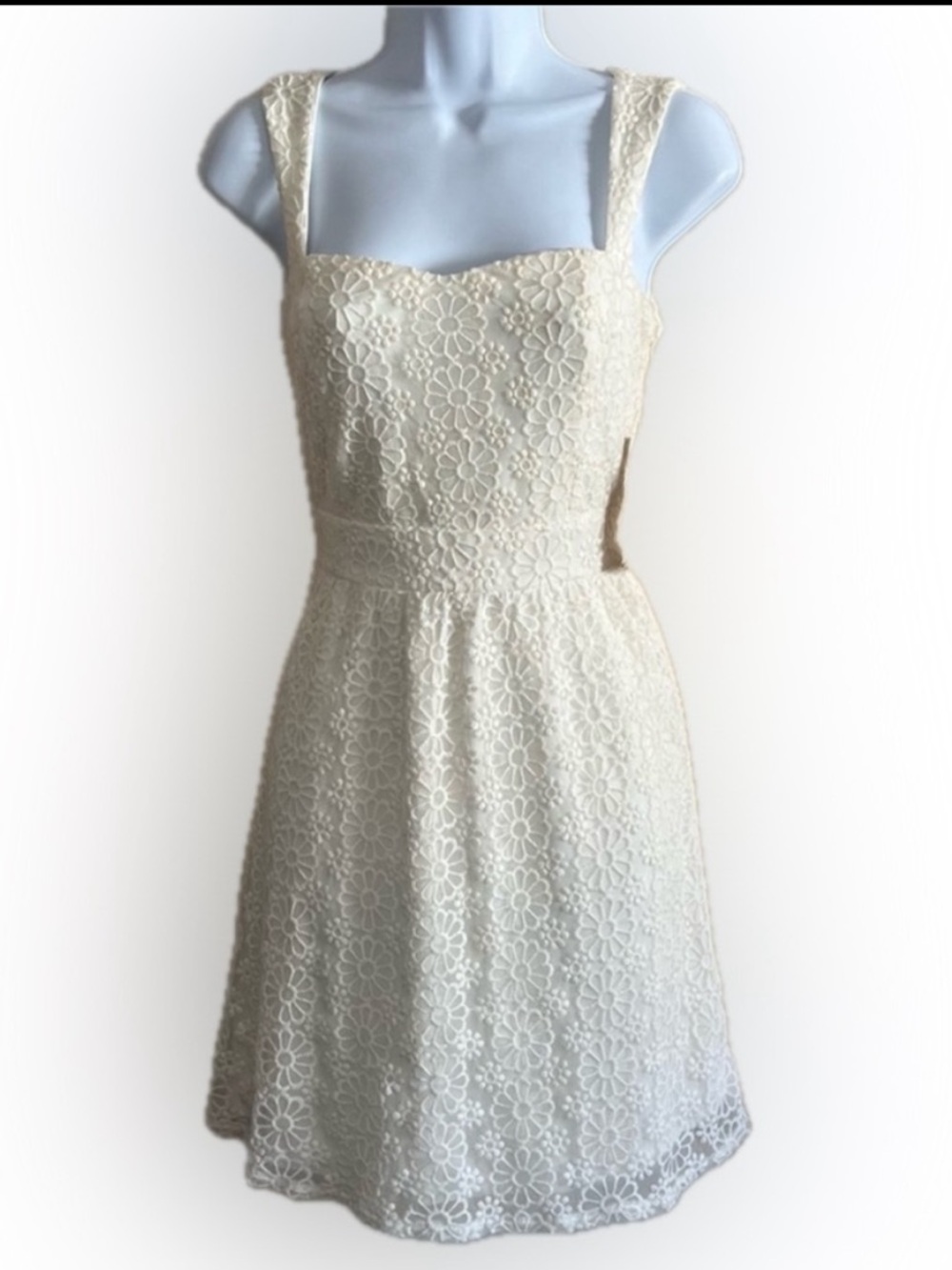 Emmelee Floral Embroidery Dress